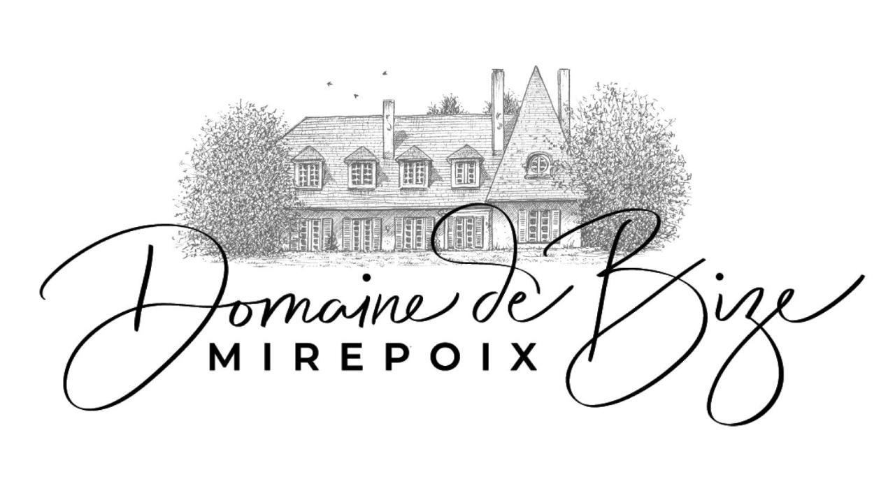 Manoir Et Appartements Avec Piscine Au Domaine De Bize Mirepoix Mirepoix  Eksteriør bilde