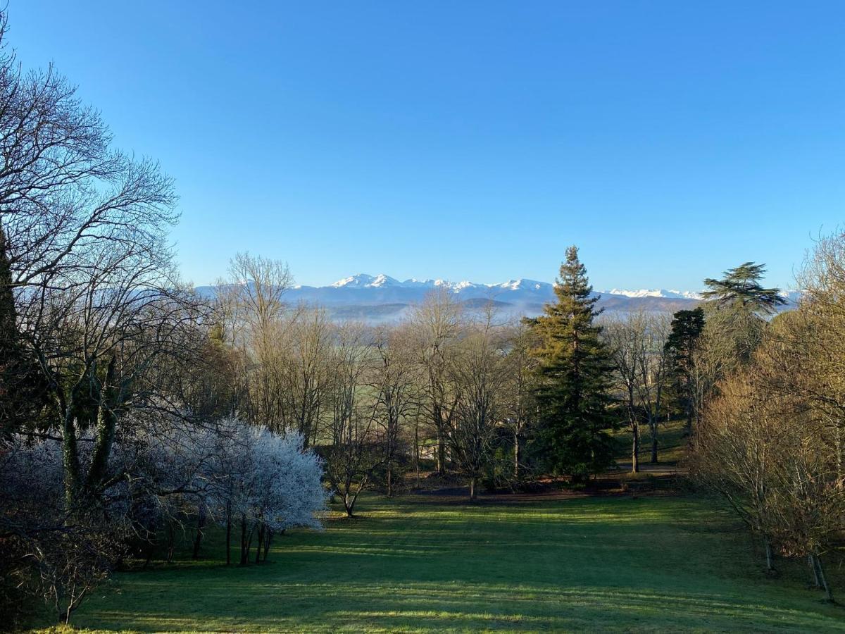 Manoir Et Appartements Avec Piscine Au Domaine De Bize Mirepoix Mirepoix  Eksteriør bilde