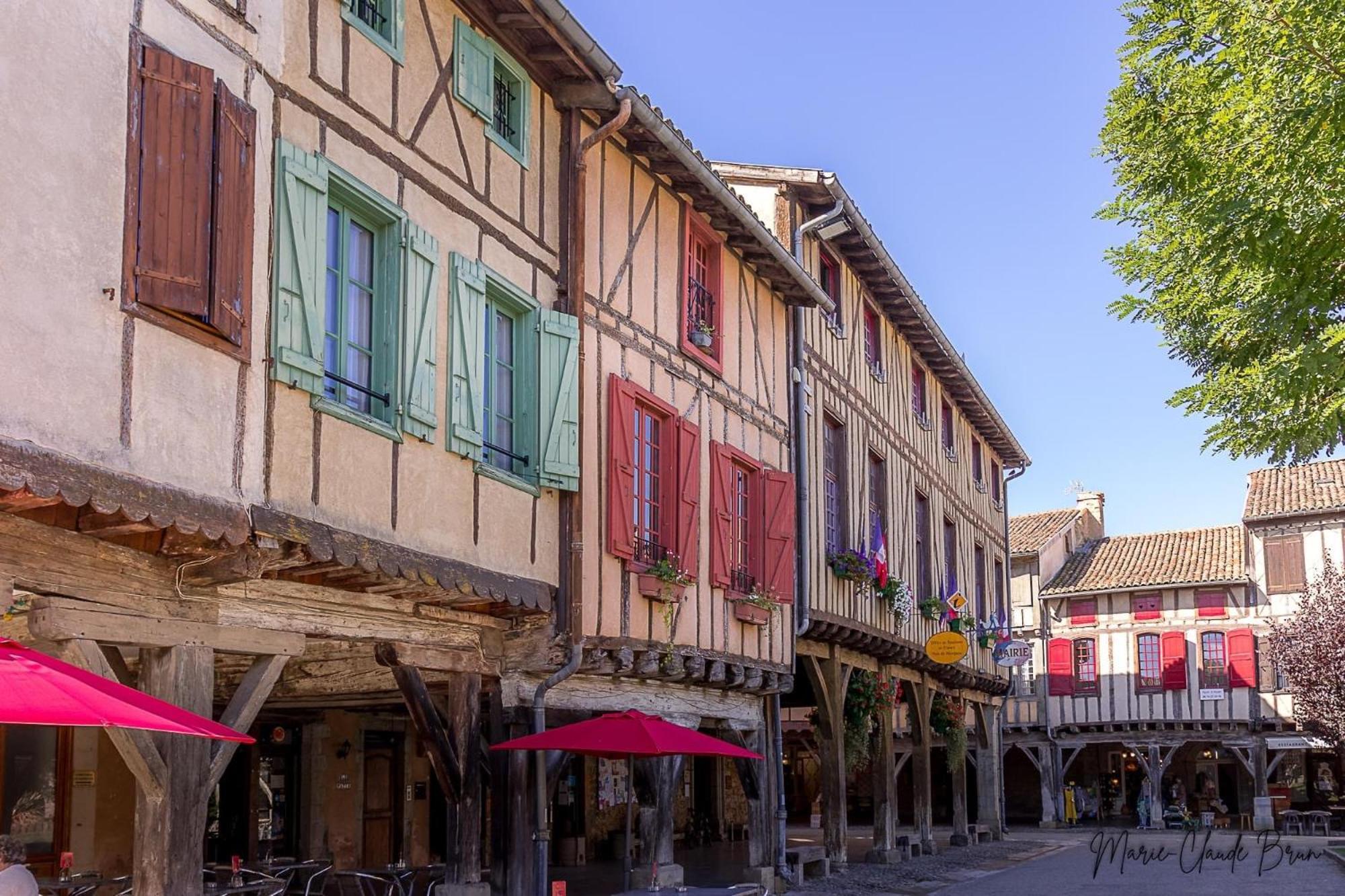 Manoir Et Appartements Avec Piscine Au Domaine De Bize Mirepoix Mirepoix  Eksteriør bilde